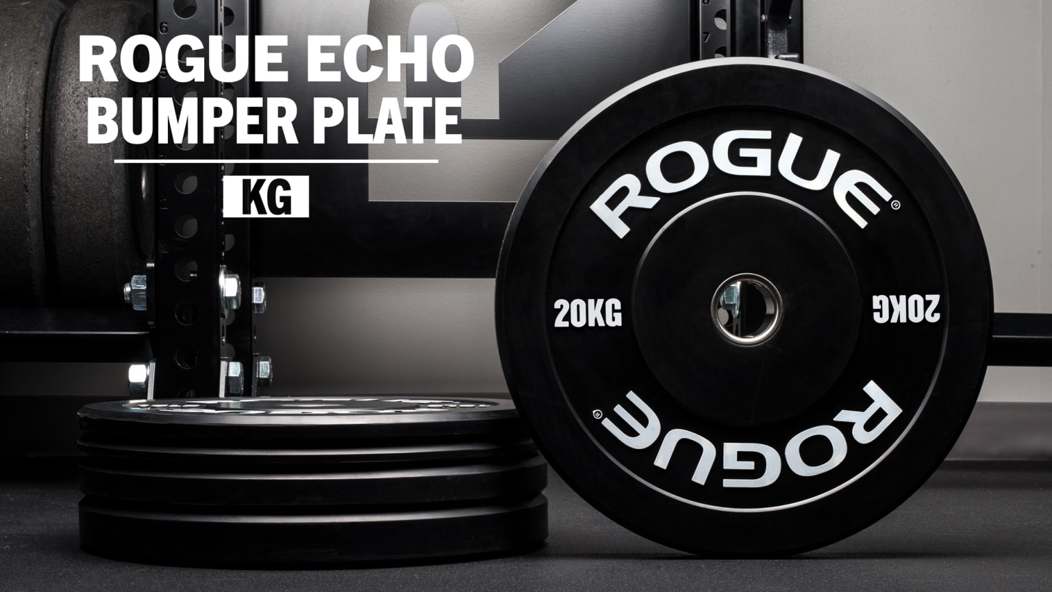 Rogue Echo Bumper Plates | Rogue Fitness Europe